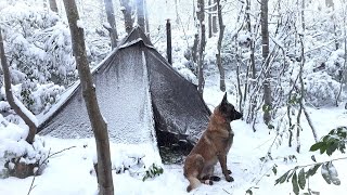 Winter Snowstorm Camping With My Dog  Bushcraft Survival Stove Cooking Nature Movie Asmr [upl. by Ivel]