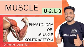 physiology of muscle contraction  physiology of muscle contraction in hindi muscle sgsir [upl. by Aufmann]