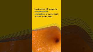 Vitamina B2 Benefici Utilizzi e Proprietà della Vitamina B2 [upl. by Aihcropal254]