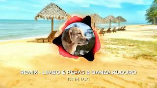 Remix  LIMBO amp PEPAS amp DANZA KUDURO DJ MLUC [upl. by Nabi]