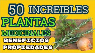 Las Mejores 50 PLANTAS Medicinales Sus Beneficios y Propiedades [upl. by Gruver]