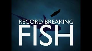 Record Breaking Fish  River Wye Pike Fishing  Matt Hayes [upl. by Ynattirb461]