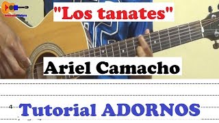 Los tanates  Ariel camacho  Tutorial requinto y adornosarreglos [upl. by Aicxela779]