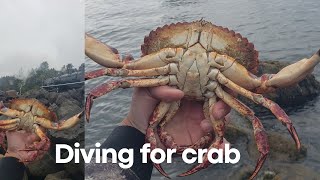 Diving for Crab in Astoria and Garibaldi Barview Oregon [upl. by Ojillek]