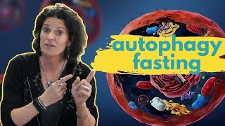 AUTOPHAGY FASTING  How Long Should You Fast to Maximize Your Health Benefits [upl. by Yorgen907]