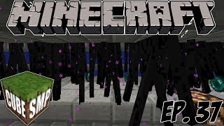 Minecraft Cube SMP Enderman Farm  Ep 37 [upl. by Jaimie]