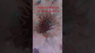 Phle Padho Tum QuranNaat ShareefWhatsApp StatusViral VideoMadarsa Makhzan Ul Uloom Kandhla [upl. by Abbotsun]