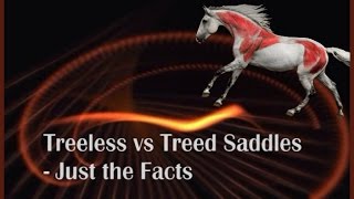 Treeless vs Treed Saddles  Just the Facts by Saddlefit 4 Life® [upl. by Ssej]