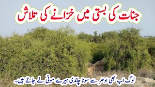 700 Years Old Deserted And Mysterious Giants Township In Forest Of Nihang Sahiwal tahirshahvlogs [upl. by Coward]