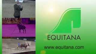 EQUITANA 2015  Teaser  Okt 2014 [upl. by Sell]