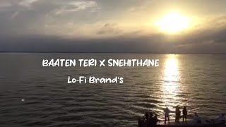 Baatien Teri Yaadein Teri original songBaatein Teri Yaadein Teri Tiktok Trending song LoFi Brands [upl. by Eical]