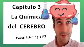 🧠 Capitulo 3 El CEREBRO La Neurona y la QuÍmica del cerebro Neurotransmisores y hormonas [upl. by Maffa609]