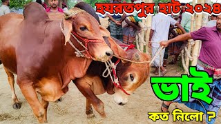 Bhai Koto Nilo Hazratpur Paragram Cattle Market 2024 Qurbani Cow Price In Bangladesh Part 1 [upl. by Bekelja]