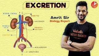 Excretion  The Wastage Disposing System 10th Biology Part2 [upl. by Lansing501]