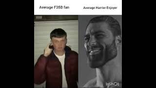 Average F35B fan vs Average Harrier enjoyer [upl. by Kirkwood396]