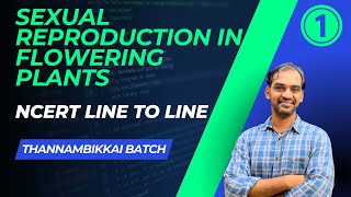 Sexual Reproduction in Flowering Plants in One Shot for NEET ft Vipin Sharma  NCERT Biology Class [upl. by Swithbert]
