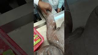 surface marking of upper limb part 2  MBBS 1ST YEAR ANATOMY [upl. by Ellezaj]