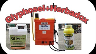 SPRAY TIME PANG DAMO PART1 Herbicide Glyphosel Herbadox SabogTanim DryFarming [upl. by Myca]