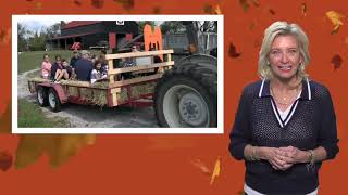 Fall Fun at Rolling Acres Pumpkin Patch and More 2024 video [upl. by Nuahsal]