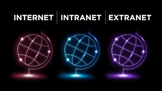 Internet vs Intranet vs Extranet Which is the best [upl. by Orest10]