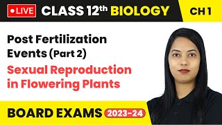 Post Fertilization Events Part 2  Class 12 Biology Chapter 1  LIVE [upl. by Oznole]