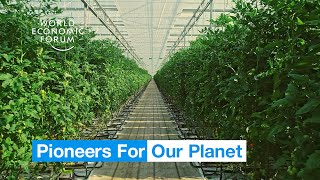 Farmers in the Netherlands are growing more food using less resources  Pioneers for Our Planet [upl. by Arelc405]