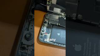 Zalany i spleśniały iPhone 11 Pro Max  niezwykła sytuacja iphone apple technologia [upl. by Adams]