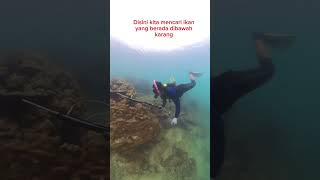 spearfishing menggunakan SMACO spearfishing spearow [upl. by Relyc]