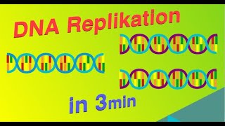 DNA Replikation  Erklärvideo [upl. by Nerval202]