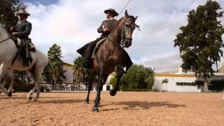 Royal Andalusian School of Equestrian Art [upl. by Zilla]