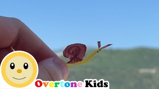 Caracol Col Col  Overtone Kids Canción Infantil [upl. by Llegna]