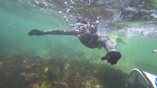 Snorkelling Mettams Pool Perth Western Australia March 2021 [upl. by Klemens398]