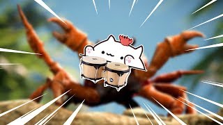 BONGO RAVE Crab Rave with Bongo Cat [upl. by Elita327]