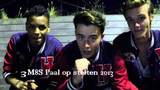 3M8S Paal op Stelten 2013 [upl. by Kirwin228]