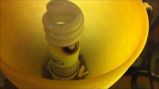 CFL Light Bulb Smoking after it burned out [upl. by Vipul631]