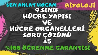 9 SINIF HÜCRE YAPISI VE HÜCRENİN ORGANELLERİ SORU ÇÖZÜMLERİ 5  TYT BİYOLOJİ  ✅ [upl. by Langill]