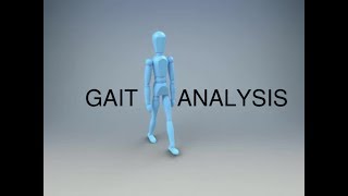 Gait Analysis and the Gait Cycle [upl. by Ydaf]