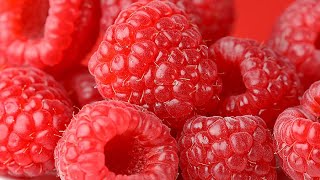 How to Plant Raspberries Easy Fruit Planting Guide [upl. by Alta]