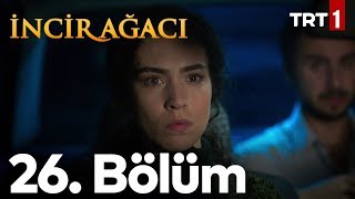 İncir Ağacı 26 Bölüm [upl. by Ij]