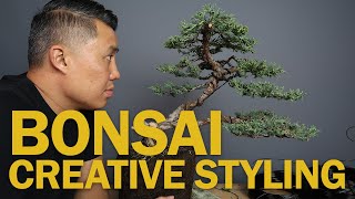 Juniper Bonsai Styling  Working with Average Material [upl. by Miche]