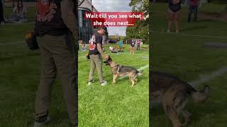 BRAND NEW technique to STOP leash reactivity dogtraining [upl. by Aicram]