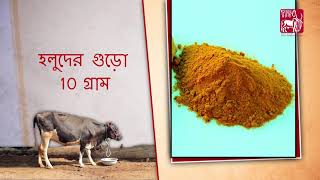 Ethnoveterinary treatment for Fever Bengali [upl. by Ellerrad]