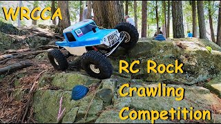 40 Incredible RC Crawlers Compilation [upl. by Nivar]