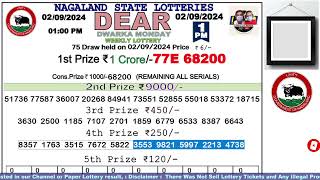 Lottery Sambad Live Dear Nagaland State Lottery Live draw result 020924Lottery live sambad [upl. by Xirdnek978]