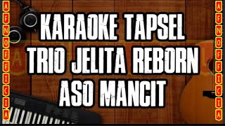 KARAOKE TAPSEL ASO MANCIT  TRIO JELITA REBORN [upl. by Edda751]