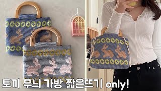 뜨개 가방 토끼 무늬 미니백 뜨기 Rabbit Mini Bag 전 과정 [upl. by Razaile]