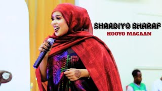 SHAADIYO SHARAF 2024  HEESTII HOOYO MACAAN  OFFICIAL VIDEO [upl. by Karlotta]