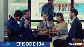 Forbidden Fruit Episode 134  FULL EPISODE  TAGALOG DUB  Turkish Drama [upl. by Sehguh424]