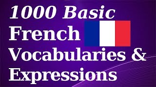 1000 Basic French Vocab amp Expressions [upl. by Kellyn]