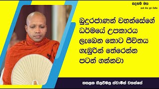 ජීවිතය ගැඹුරින් තේරෙන්න පටන් ගන්නවා2391Ven Hasalaka Seelawimala Thero [upl. by Herbst842]